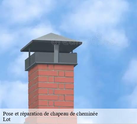 Pose de chapeau de cheminée