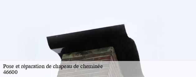 Pose et réparation de chapeau de cheminée